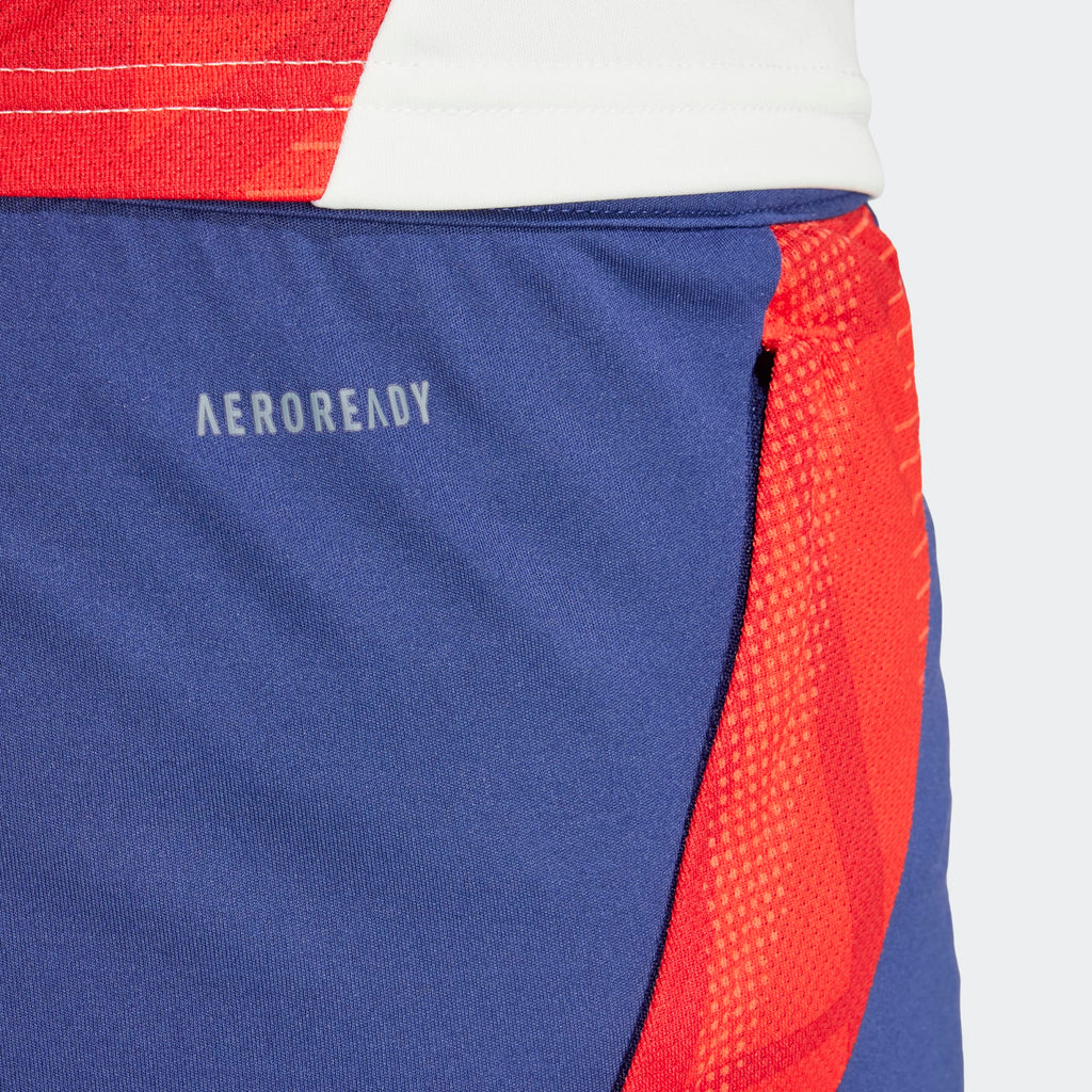 ADIDAS OLYMPIQUE LYONNAIS TRAINING SHORT 2024-2025