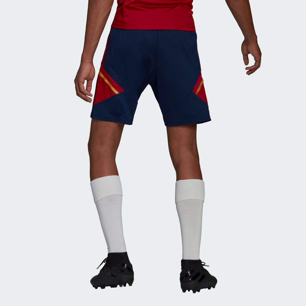 ADIDAS AJAX TRAINING SHORT 2022-2023