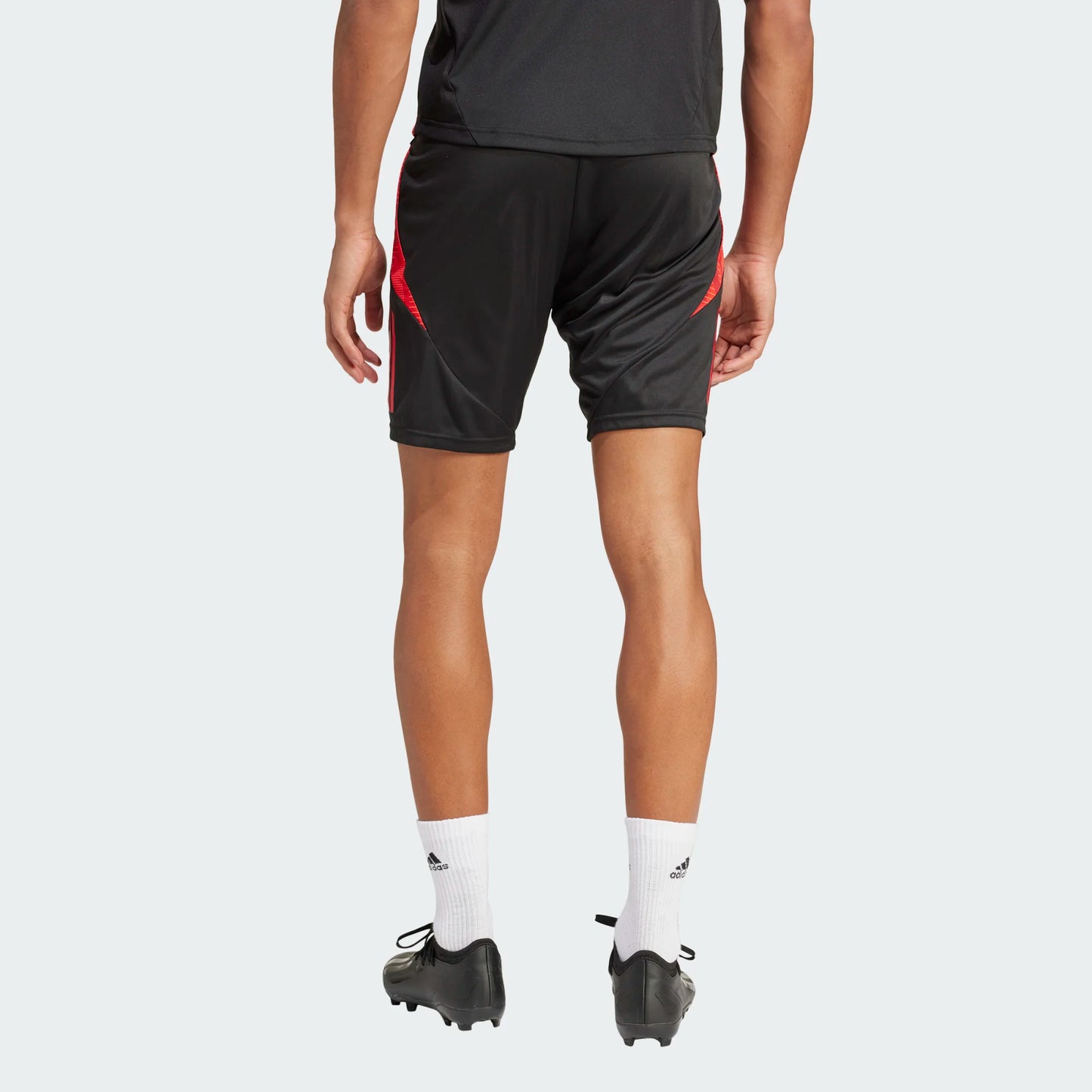 ADIDAS RBFA BELGIË TRAINING SHORT 2024-2026