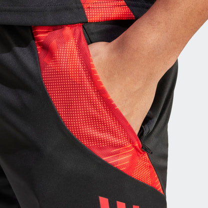 ADIDAS RBFA BELGIË TRAINING SHORT 2024-2026