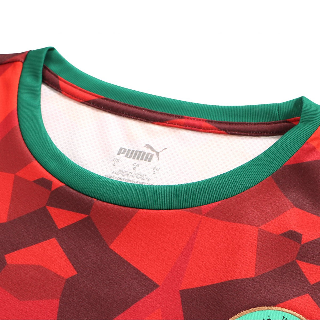 PUMA FRMF MOROCCO FTBLCULTURE TEE 2023-2024