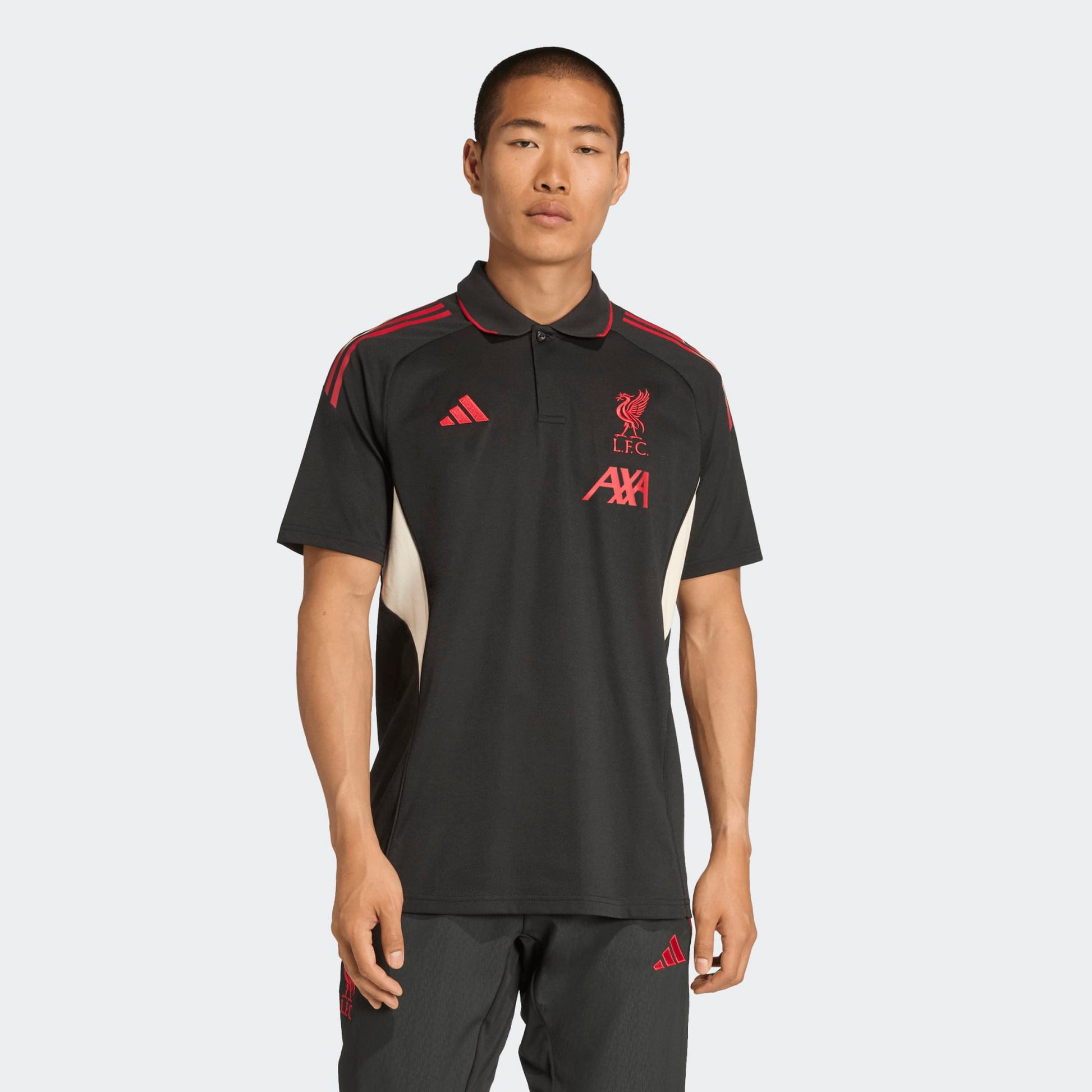 Adidas Liverpool Polo Shirt 2025-2026 | Kick off Antwerpen