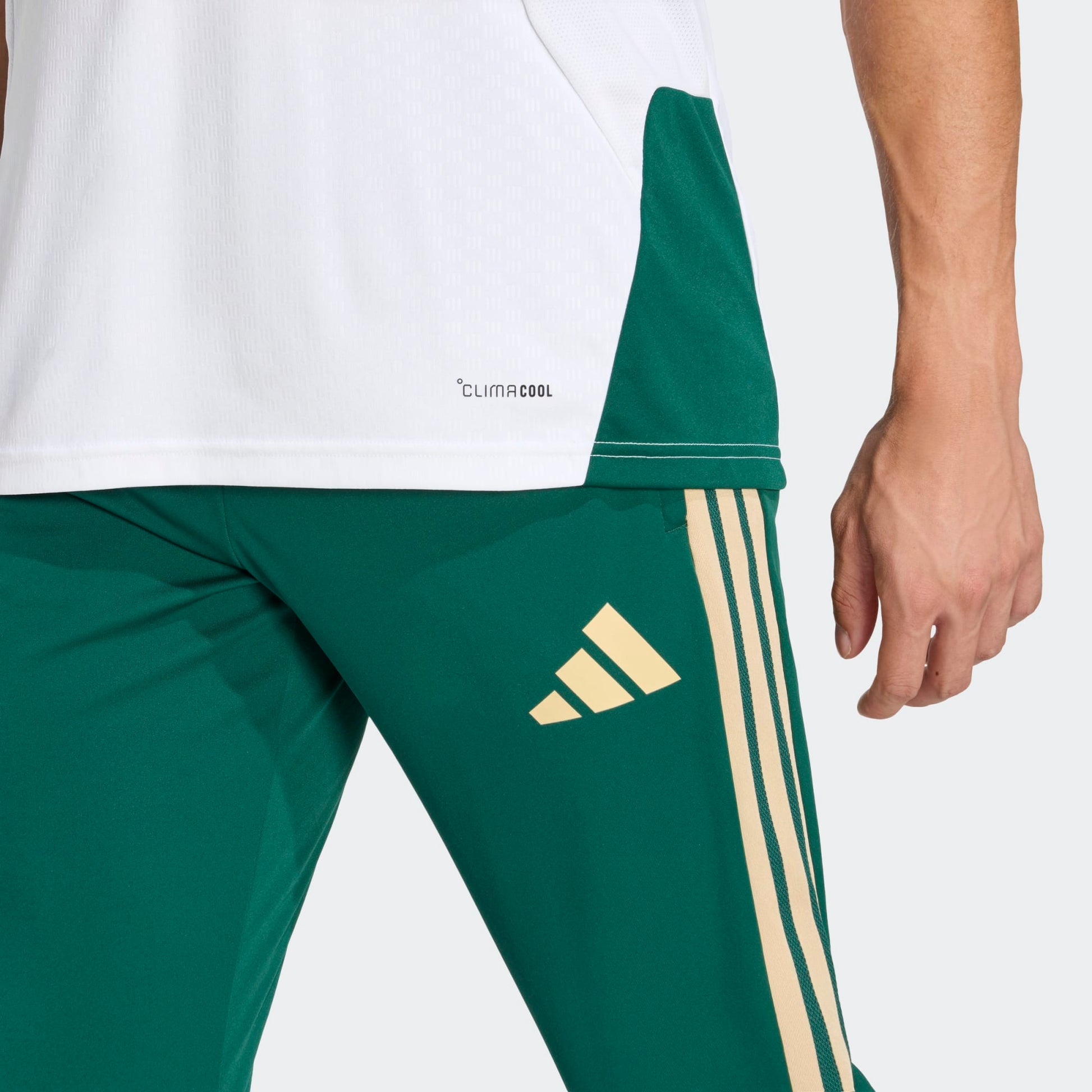 Adidas Figc Italia Training Pants 2025 2026 | Kickoff Antwerpen voetbalshop