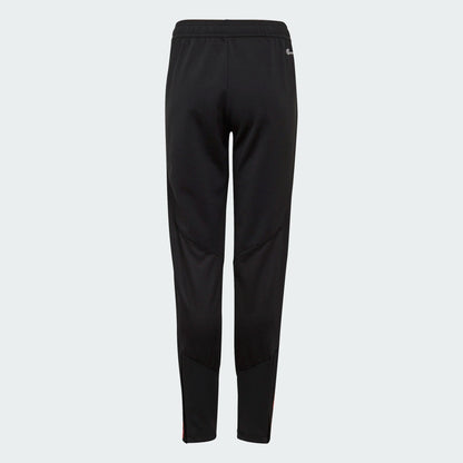 ADIDAS RBFA BELGIUM TP TRAININGSPAK  2022-2024 | Kickoff Antwerpen